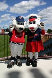 Pawsoxpair