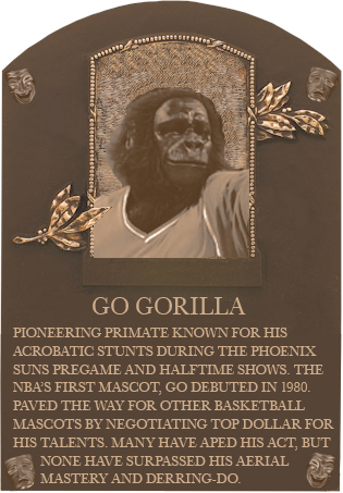 Plaquegorilla