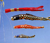Koi Banner